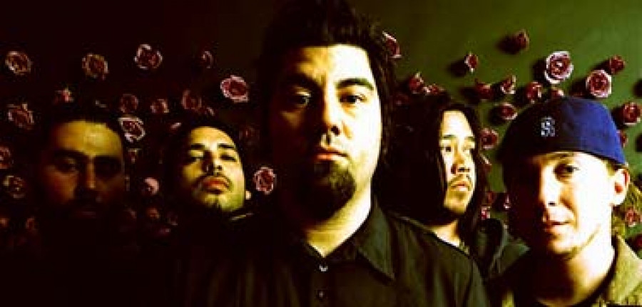 Deftones shove it. Pink Maggit Deftones. Deftones "Adrenaline". Состав Deftones жирный.